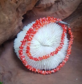 Bông tai san hô đỏ móc bạc