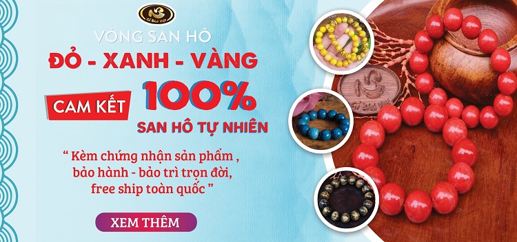 Bách Việt luôn cam kết về sản phẩm và chất lượng dịch vụ hấp dẫn nhất
