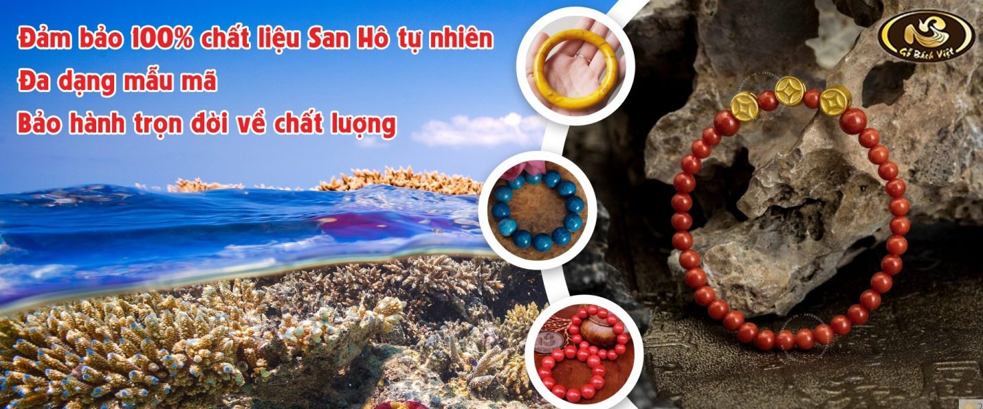 Banner san hô bách việt 100% tự nhiên