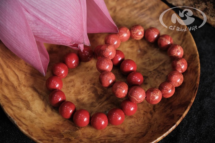 Vòng tay San Hô đỏ - Đại diện cho sự thanh tịnh, khuyền khiết trong nhà Phật
