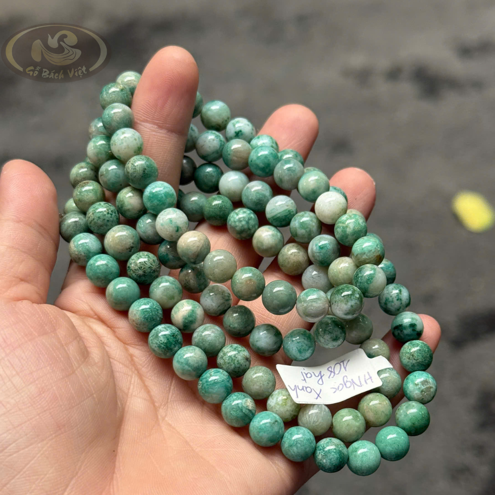 Tràng san hô hoá thạch xanh 8mm