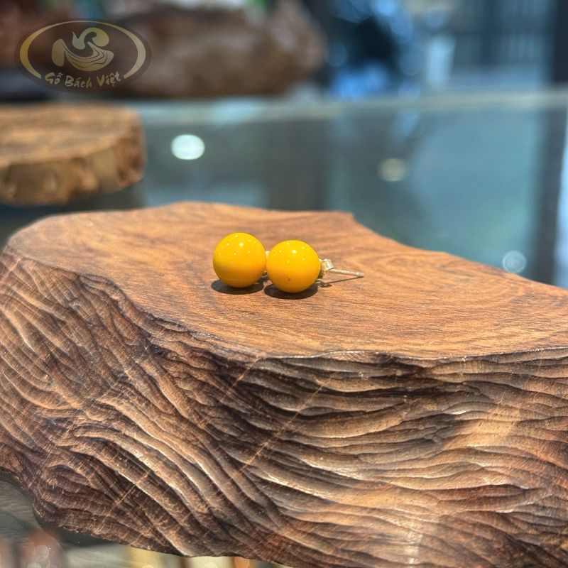 Bông tai nụ san hô vàng 10mm
