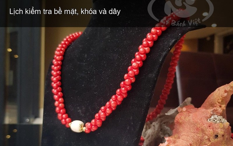 Lịch kiểm tra bề mặt, khóa và dây