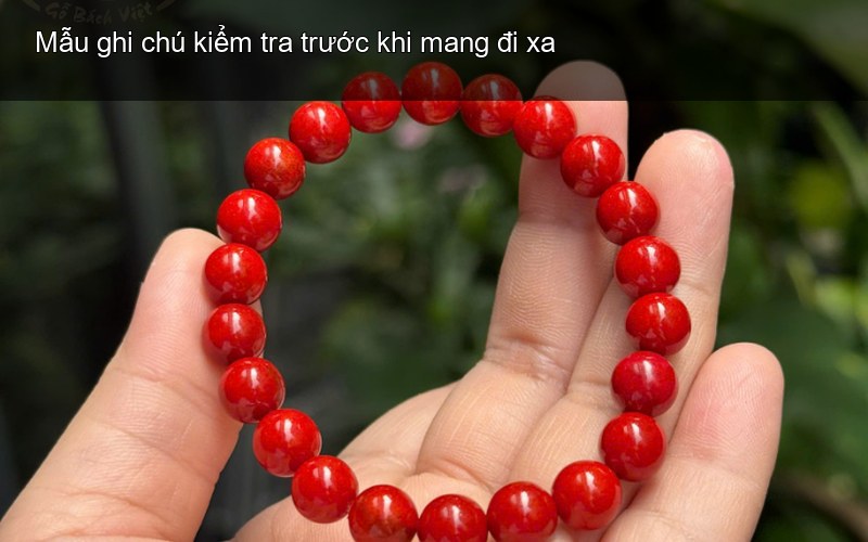 Mẫu ghi chú kiểm tra trước khi mang đi xa