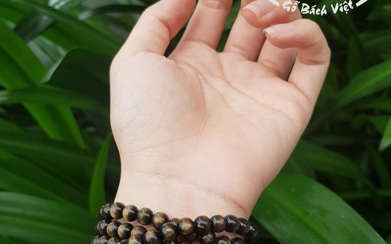 Ảnh cận cảnh san hô vàng VNG02 góc 1