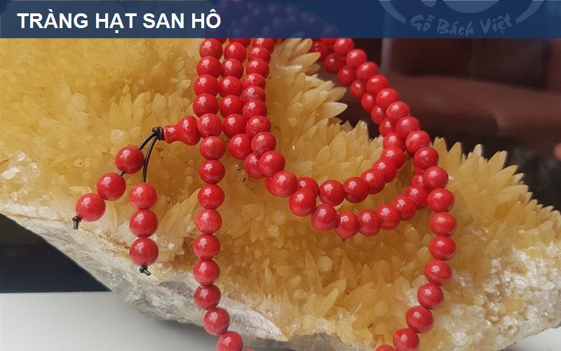 Ảnh minh họa Tràng hạt san hô là gì? Cách xem trước khi chọn — góc 1
