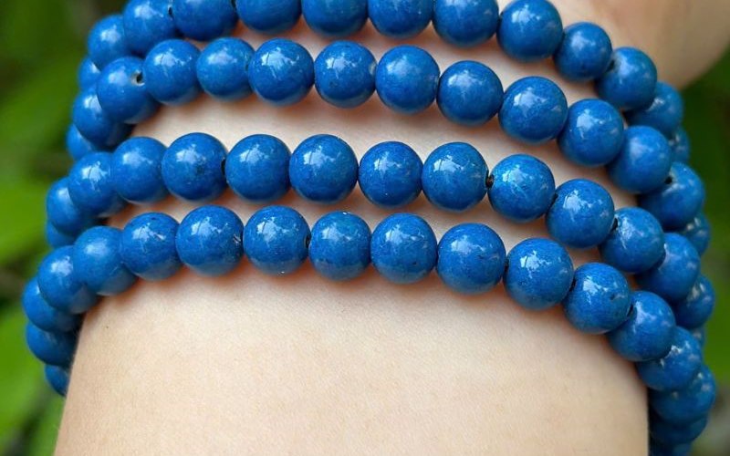 Ảnh cận cảnh tràng san hô xanh - TRX02 góc 1