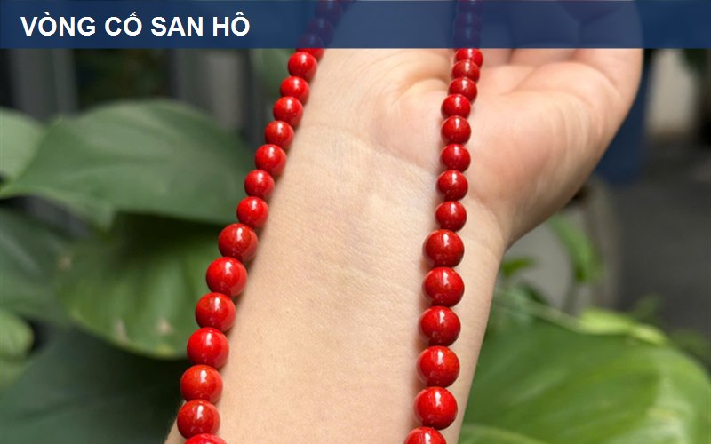 Ảnh minh họa Vòng cổ san hô xanh: xem sắc màu và hoàn cảnh sử dụng — góc 3