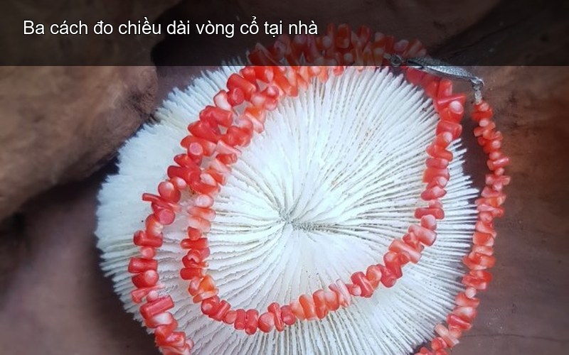 Ba cách đo chiều dài vòng cổ tại nhà