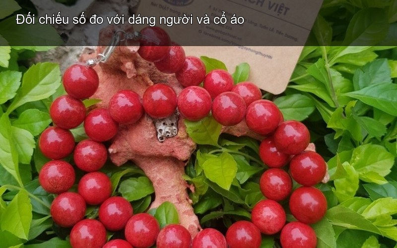Đối chiếu số đo với dáng người và cổ áo