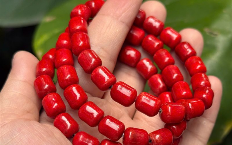 Ảnh minh họa Cách chọn vòng san hô theo mục đích đeo hằng ngày góc 3