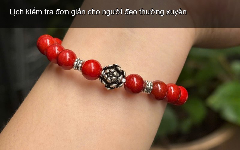 Lịch kiểm tra đơn giản cho người đeo thường xuyên